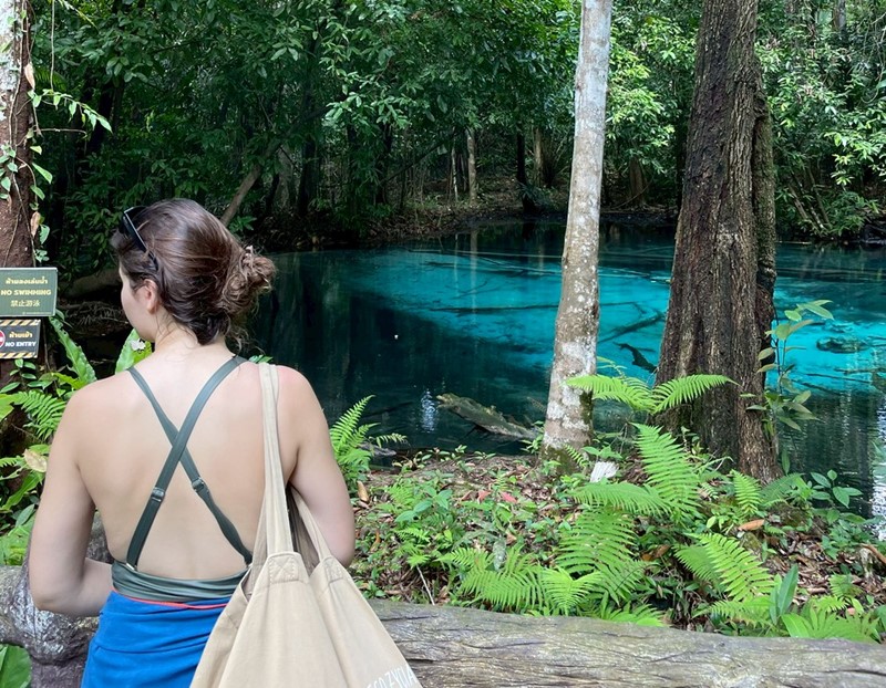 Visit Hot Springs Waterfall